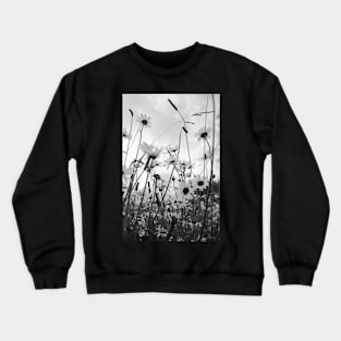 Oxeye daisies Crewneck Sweatshirt